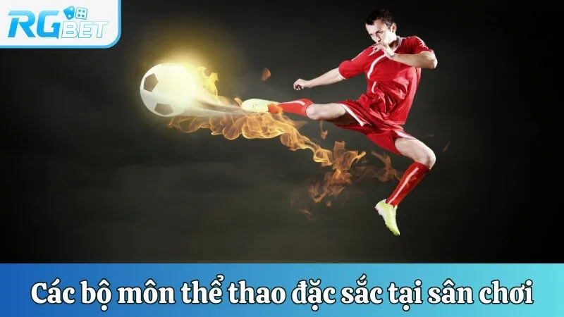 Các bộ môn thể thao đặc sắc tại sân chơi 